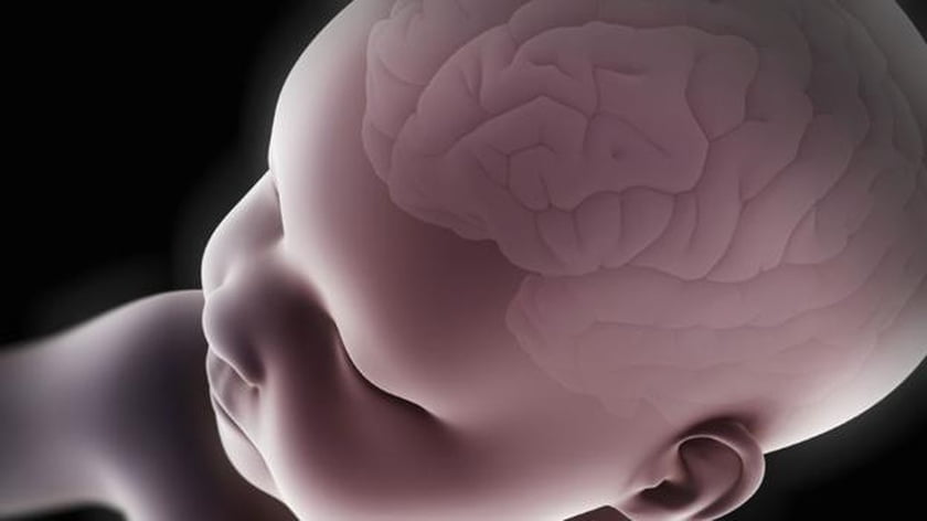 5 pasi pe care orice parinte trebuie sa-i faca pentru a antrena creierul curios al bebelusului, potrivit cercetatorilor de la Harvard | Demamici.ro