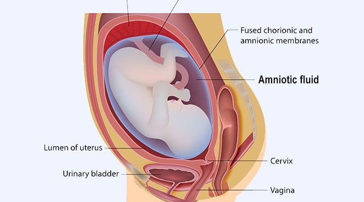 Ce este embolia amniotica -complicatia care a adus-o pe Andreea Balan in pragul mortii | Demamici.ro
